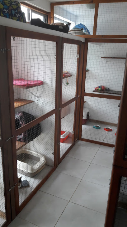 AF1QipMaEuQ5OtT4fjraDJ1H0hfJGLbSJgyixli zzEw408 h725 k no