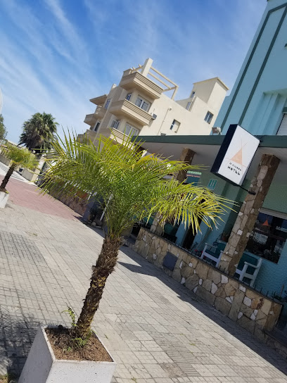 AF1QipMv OvHmDOmybzy0r4QhgGjxi1IvQvfIN1yJrs9w408 h544 k no