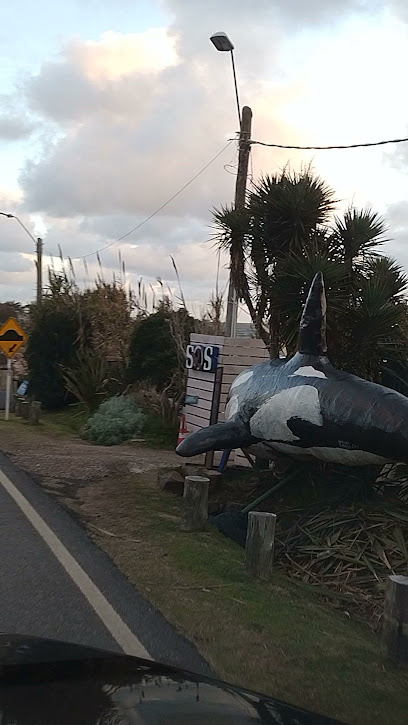 AF1QipOHIvdNXjgWr7SWFkEkYDyx23DZrOulRqnFwoCqw408 h725 k no